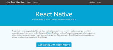React Native移动开发