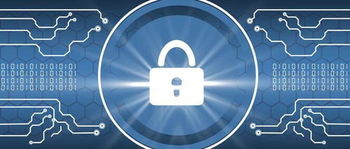 如何保护数据的安全性以及用户的隐私